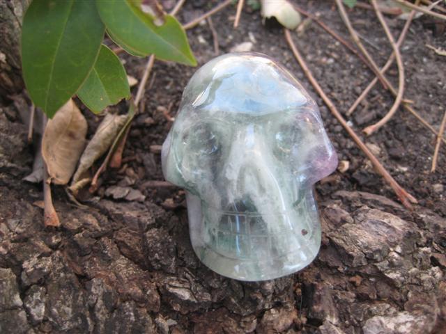 Fluorite Skull 884